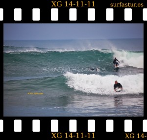 www.surfastur.es