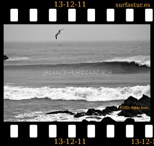 www.surfastur.es