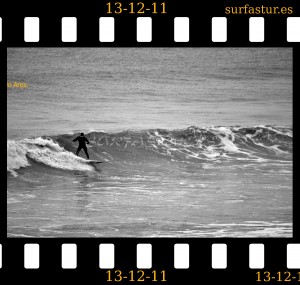 www.surfastur.es