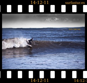 www.surfastur.es