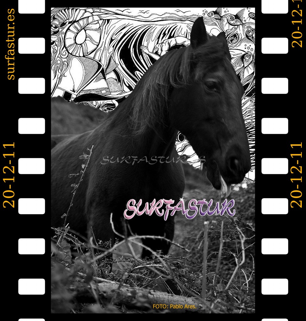 www.surfastur.es