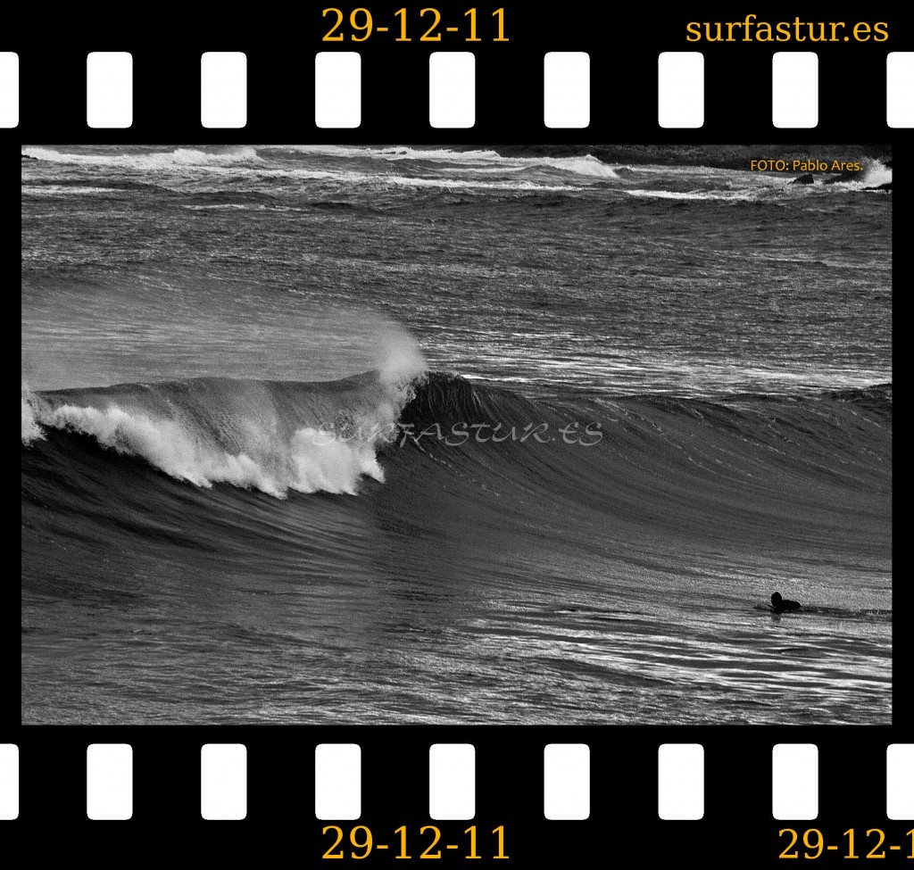 WWW.SURFASTUR.ES