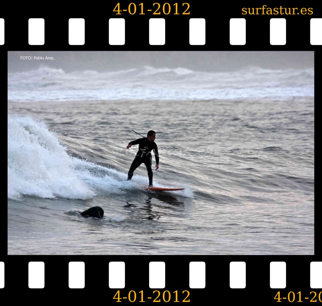 WWW.SURFASTUR.ES