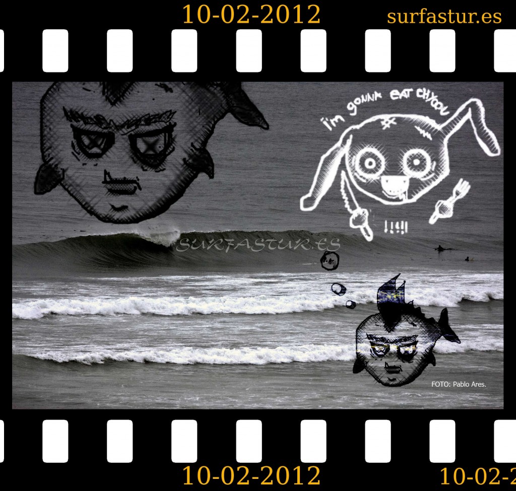 WWW.SURFASTUR.ES