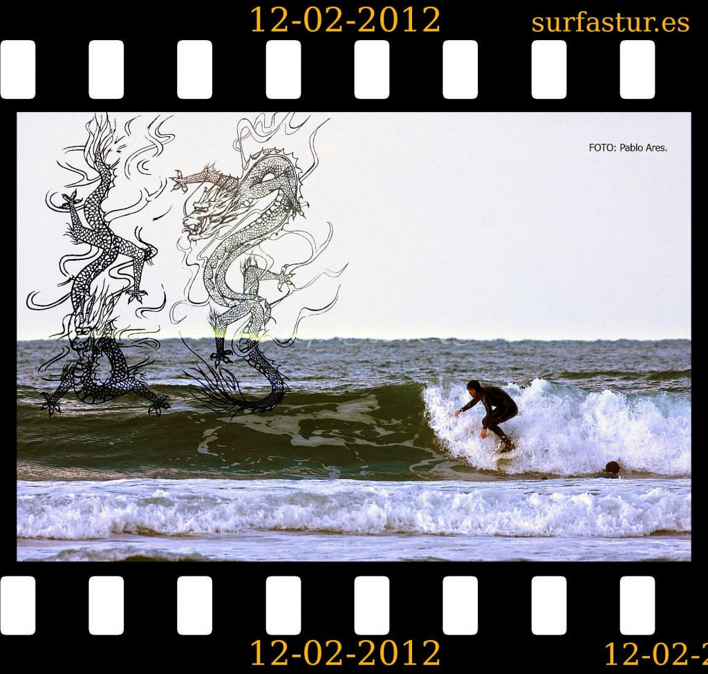 WWW.SURFASTUR.ES