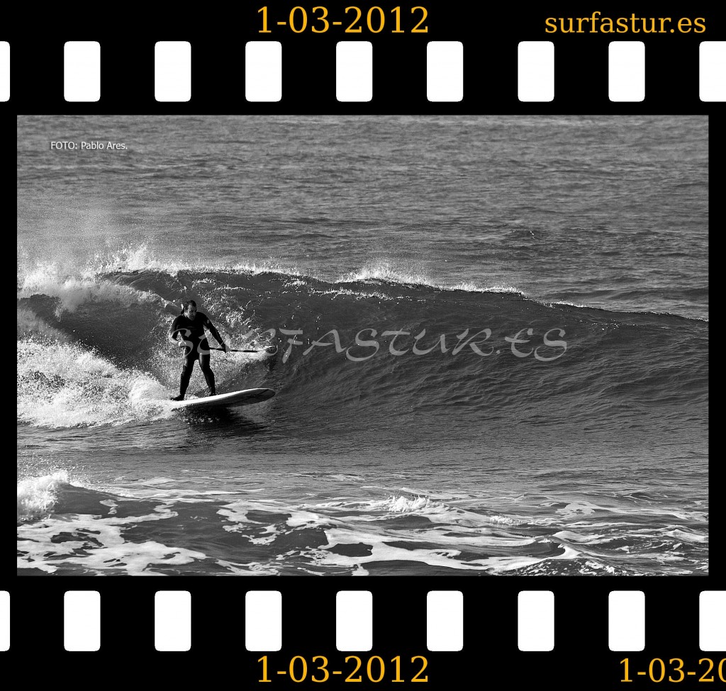 WWW.SURFASTUR.ES