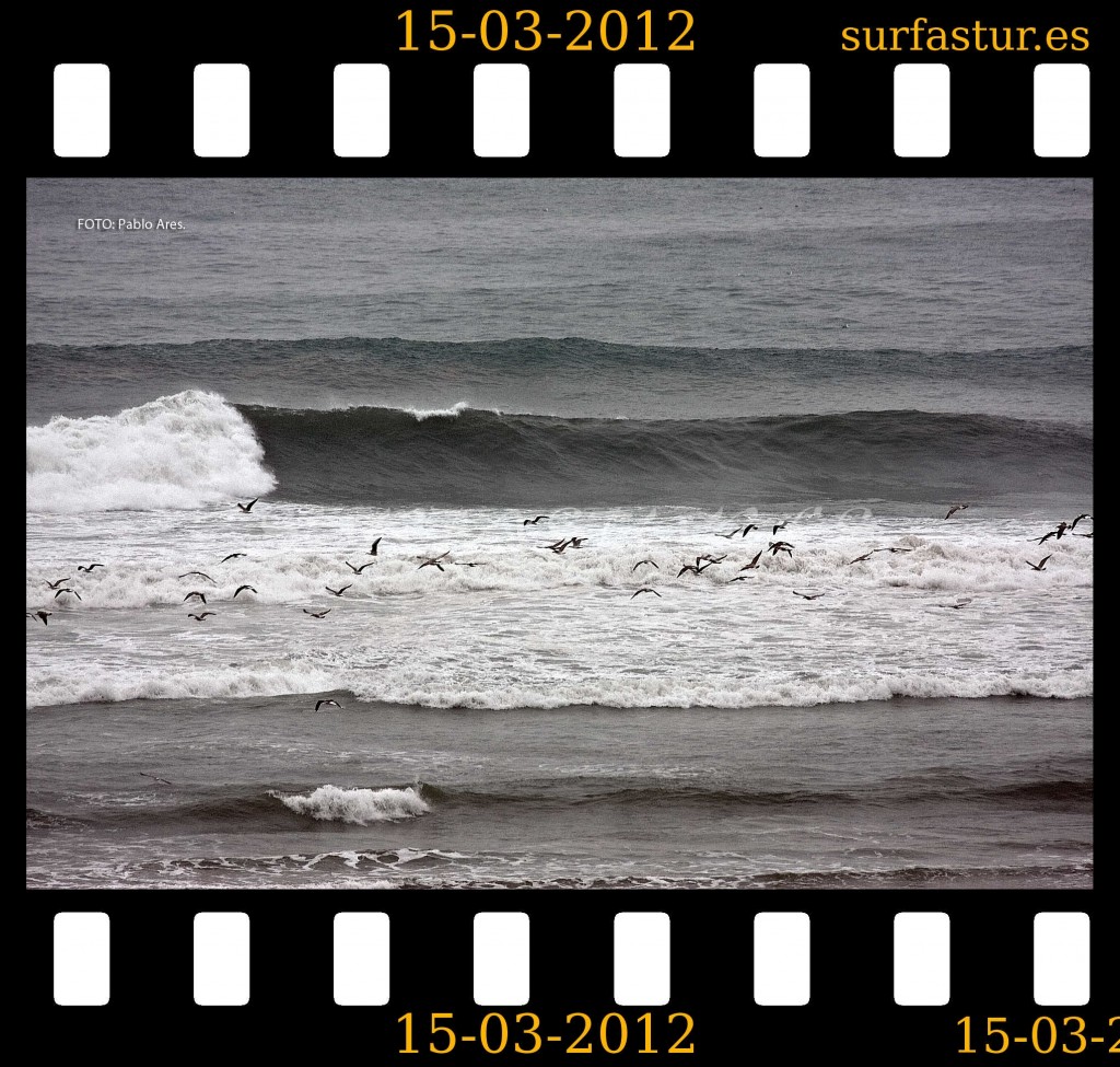 WWW.SURFASTUR.ES