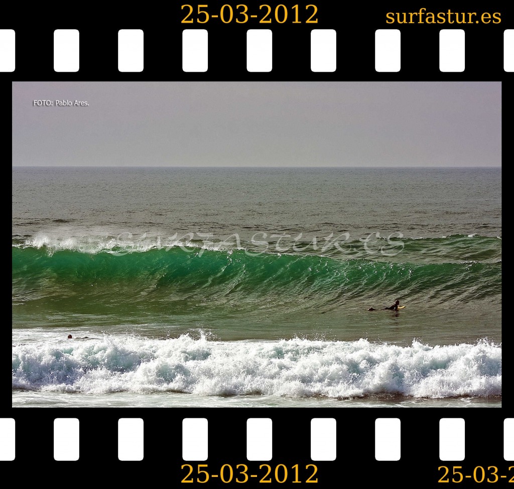 WWW.SURFASTUR.ES