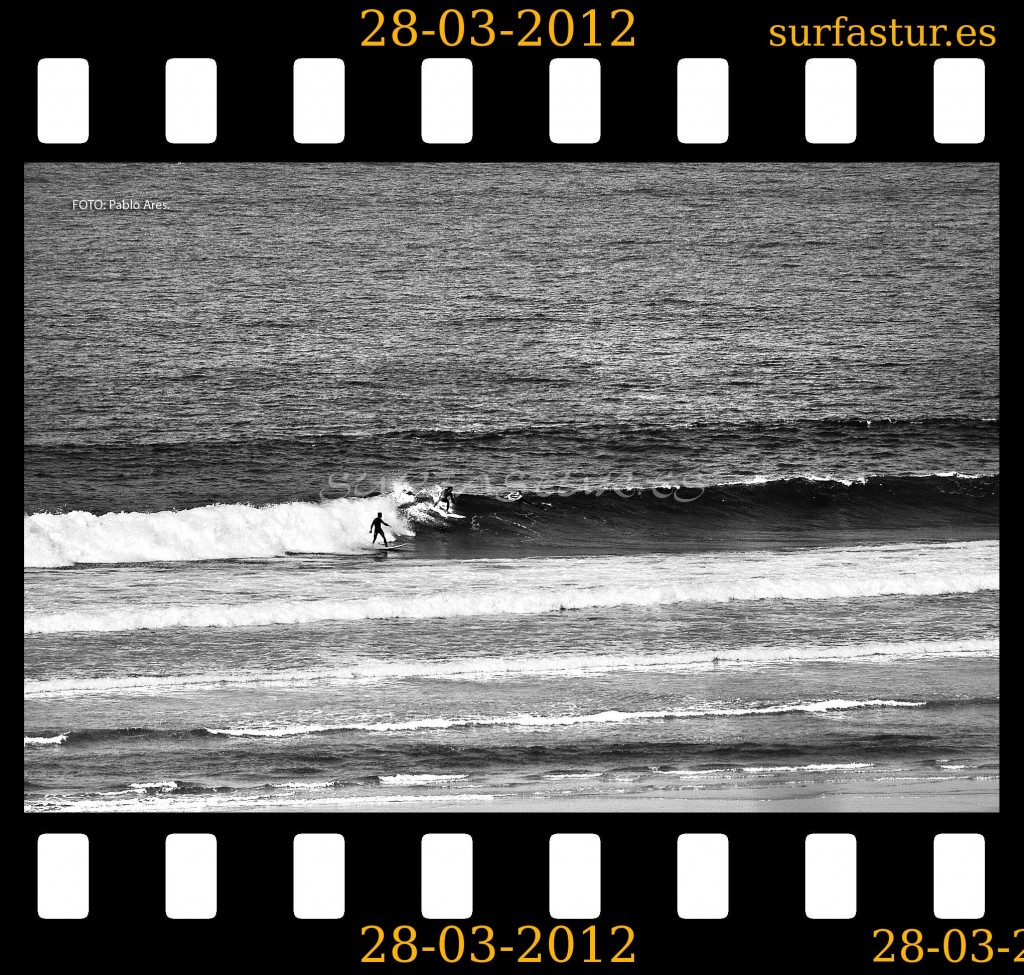 WWW.SURFASTUR.ES