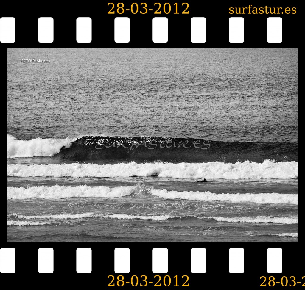 WWW.SURFASTUR.ES