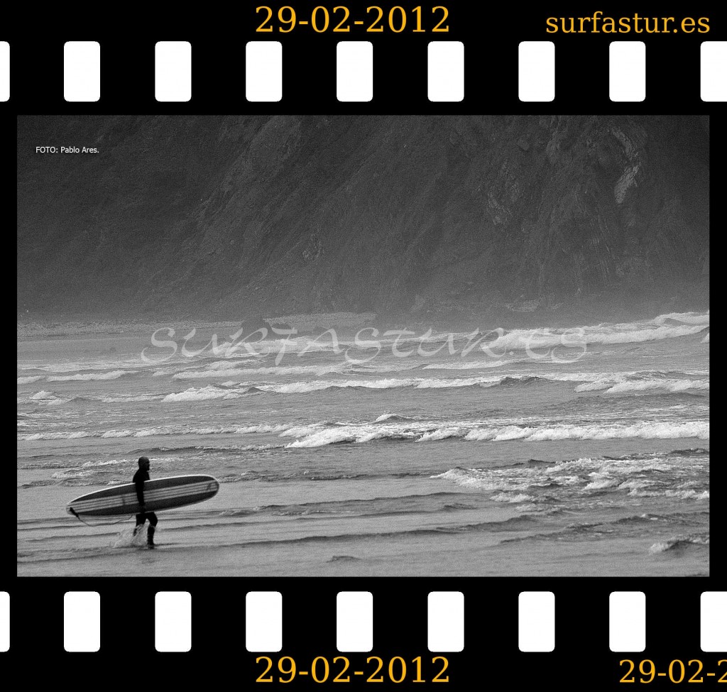 WWW.SURFASTUR.ES