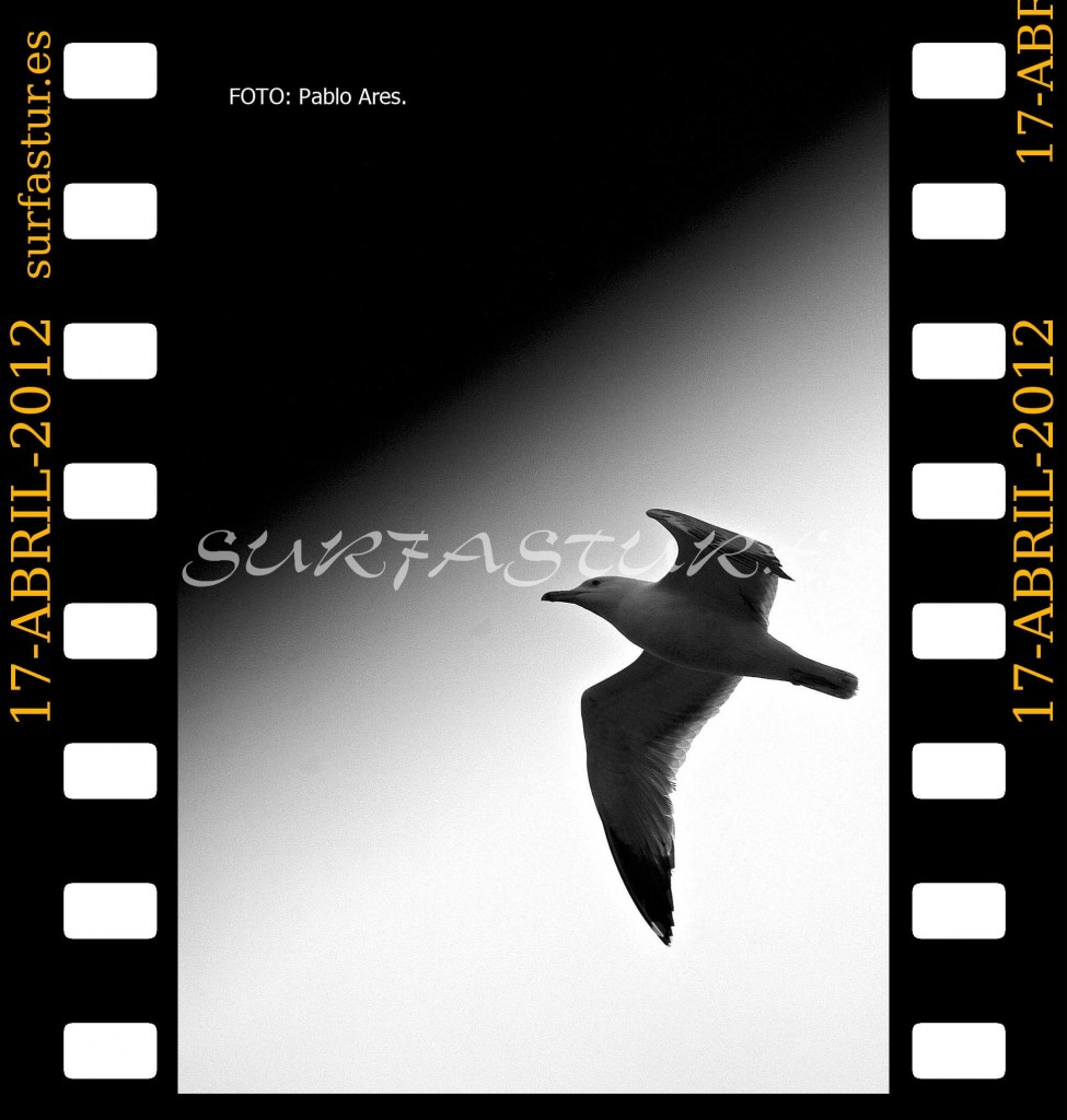 WWW.SURFASTUR.ES