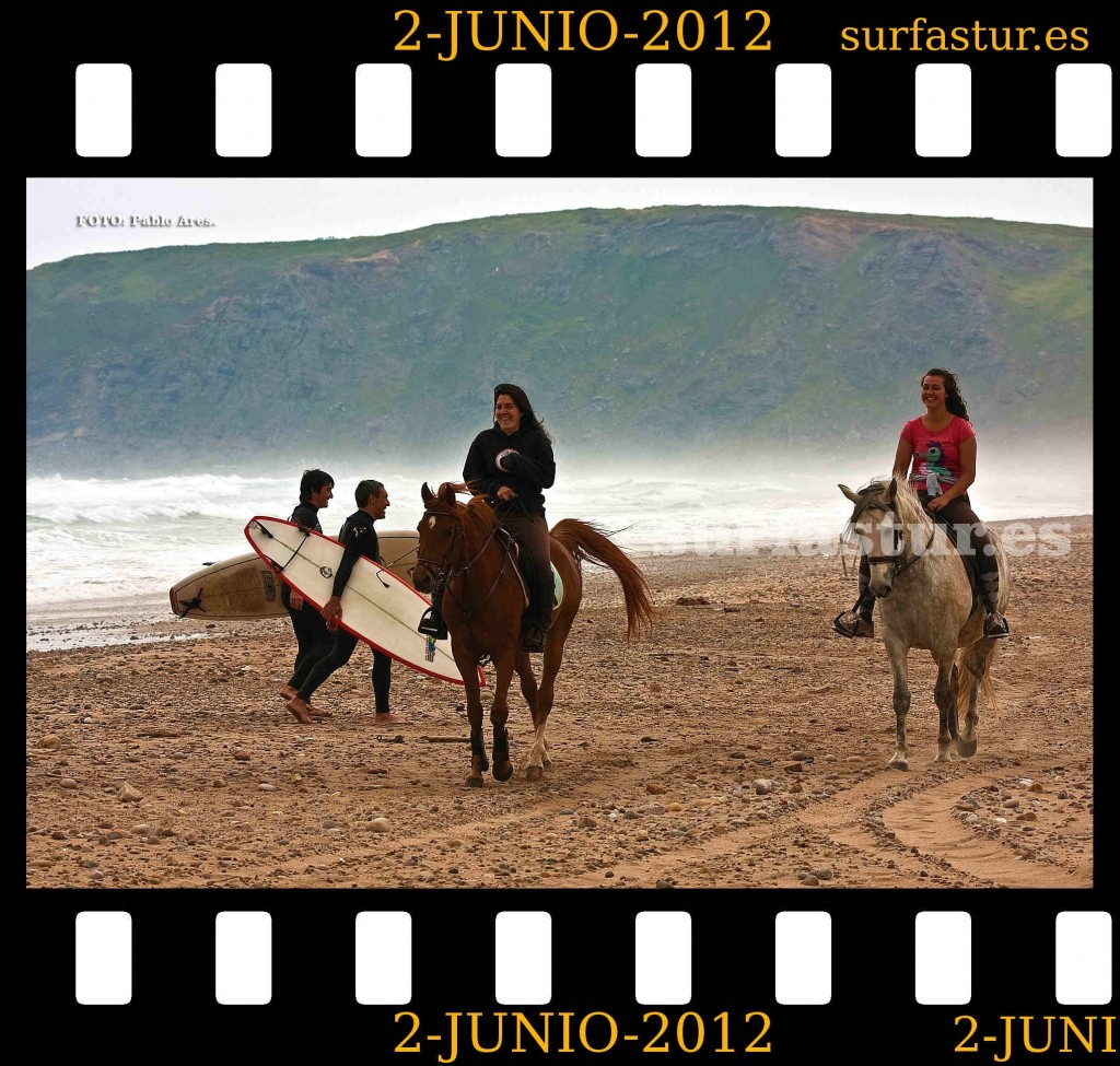 WWW.SURFASTUR.ES