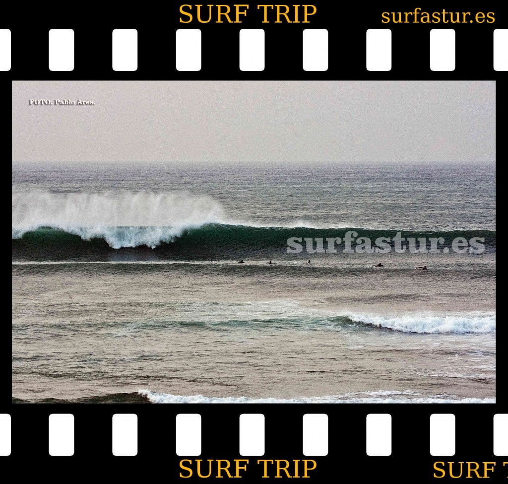 WWW.SURFASTUR.ES