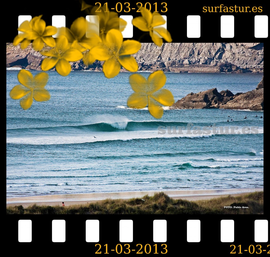 WWW.SURFASTUR.ES