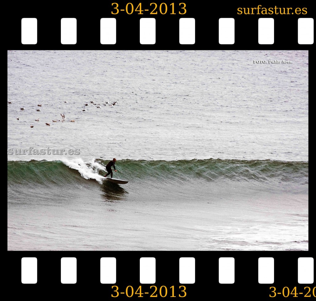 WWW.SURFASTUR.ES